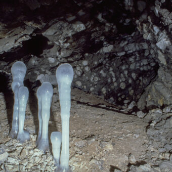 Stalagmiten aus Eis, Alabaster-Stollen, Thüringen, Foto: Stephan Röhl