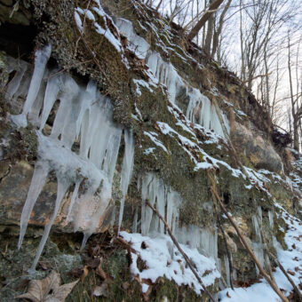 Eiszapfen an Gipsfelsen am 