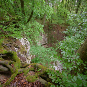 An der Trogsteinschwinde bei Bad Sachsa-Tettenborn, Niedersachsen, Foto: Stephan Röhl