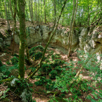 Hirschzungen-Erdfall bei Osterode, Niedersachsen, Foto: Stephan Röhl