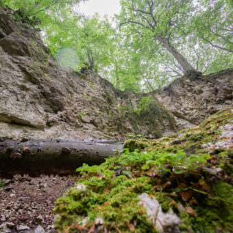 Trogstein bei Bad Sachsa, Niedersachsen, Foto: Stephan Röhl