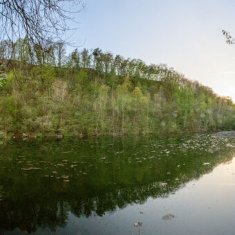 Tanzteich am Mühlberg bei Niedersachswerfen, Thüringen, Foto: Stephan Röhl