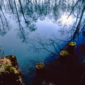 Rhumequelle nach einem Sturm, Rhumspringe, Niedersachsen, Foto: Stephan Röhl
