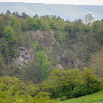 Felswand, Alter Stolberg bei Steigerthal, Thüringen, Foto: Stephan Röhl