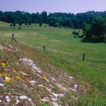Trockenrasen in der Rüdigsdorfer Schweiz bei Nordhausen, Thüringen, Foto: Stephan Röhl