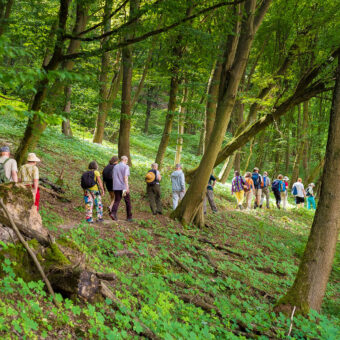 Wandergruppe am Mühlberg bei Niedersachswerfen, Thüringen, Foto: Philipp Küchler