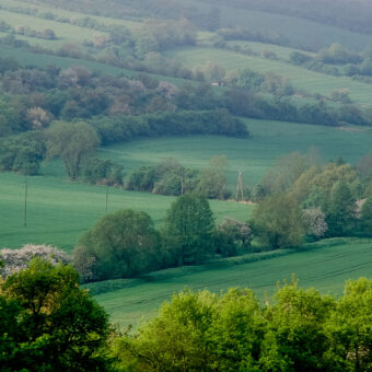 Heckenlandschaft bei Sangerhausen, Sachsen-Anhalt, Foto: Stephan Röhl