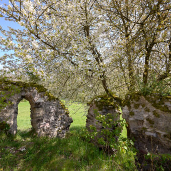 Kirchenruine Bernecke bei Uftrungen, Sachsen-Anhalt, Foto: Stephan Röhl