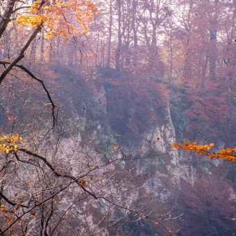 Itelklippen am Itelteich bei Walkrenried, Niedersachsen, Foto: Stephan Röhl