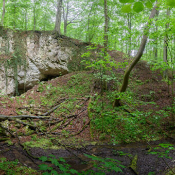 Schluchtwald, Felswand und Bachschwinde am Trogstein, Bad Sachsa OT Tettenborn Kolonie, Niedersachsen, Foto: Stephan Röhl