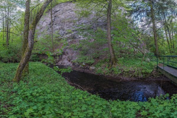 Alter Stolberg, Krebsbachwand, an dieser Stelle fließt Wasser aus der Hangversickerung wieder in den Bach zurück