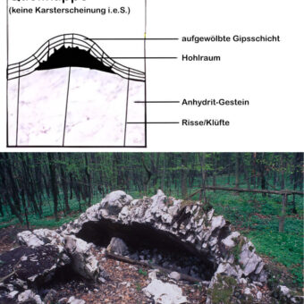 Morphologie Auslaugung