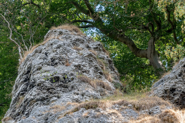 Felstürmchen an der Steilwand am Krebsbach, Alter Stolberg. Foto: Stephan Röhl