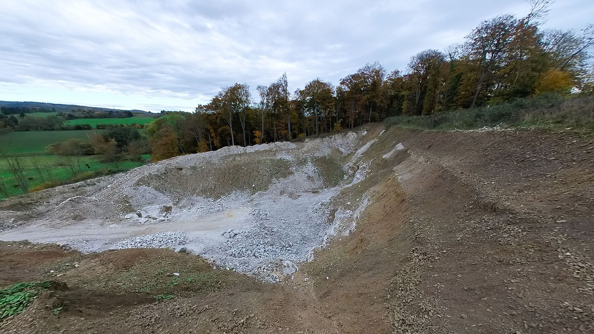 Gipsabbau zerstört wertvollen Buchenwald am Pfaffenholz