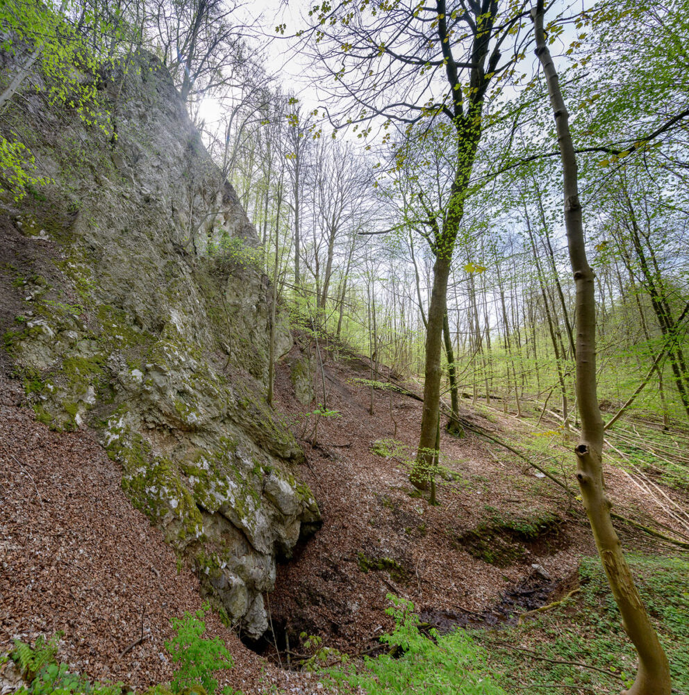 Felswand an der Schwinde